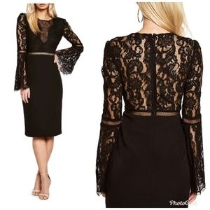NWOT Bardot Faedra Lace Illusion Dress in Black